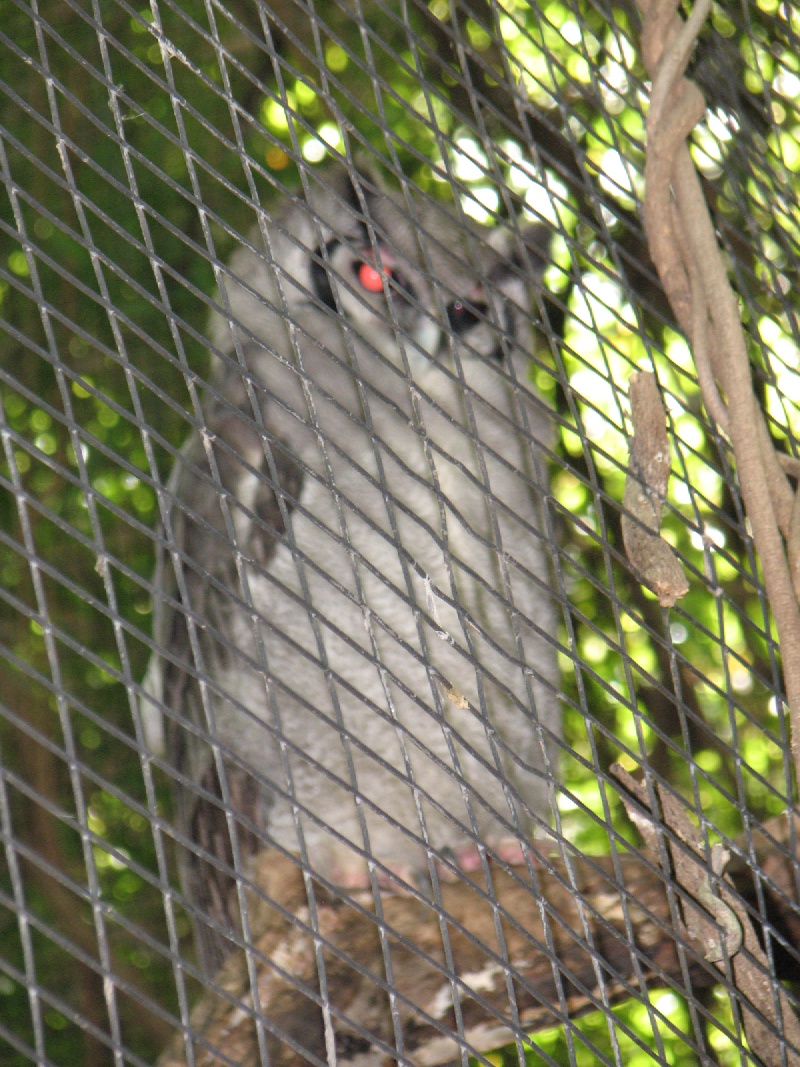 20100206 511.JPG